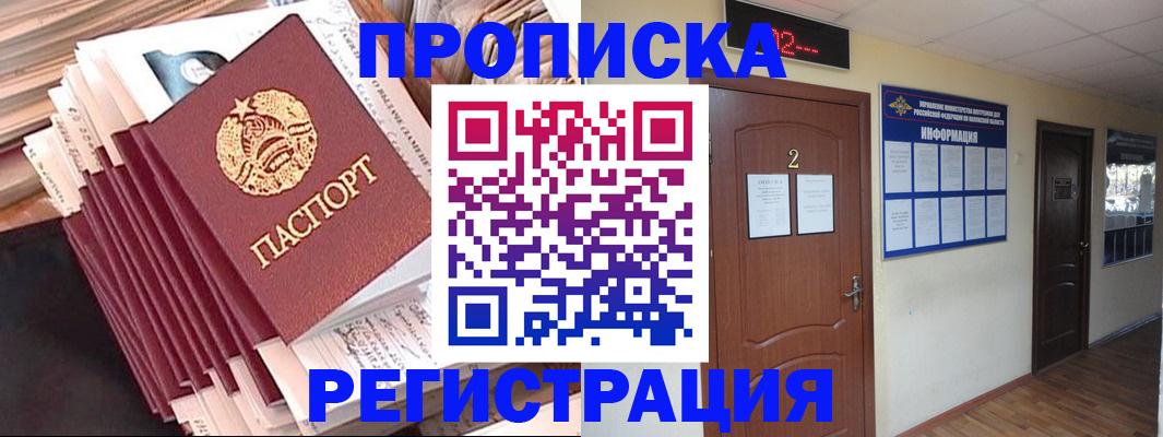 прописка поиск в Котово